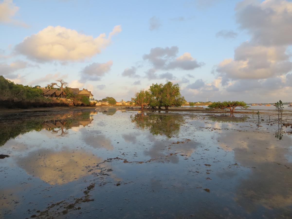 Wasini Island Bandas エクステリア 写真