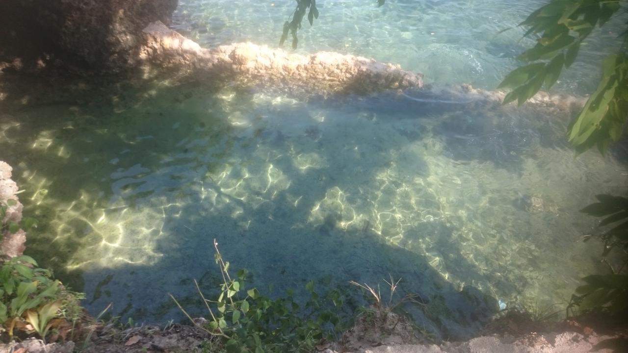 Wasini Island Bandas エクステリア 写真